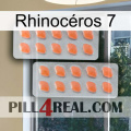 Rhinocéros 7 27